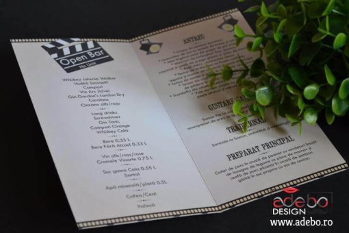 Invitatie nunta Bilet Cinema (9)