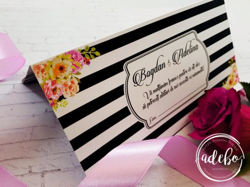 plic de bani - Minola