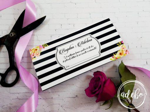 plicuri bani - Minola