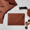 Plicuri facute manual - Caramiziu