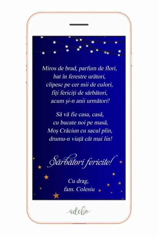 Alternative view of Felicitare digitala video - model 1