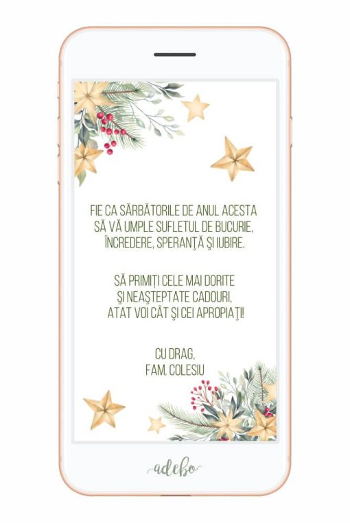 Alternative view of Felicitare digitala video - model 2