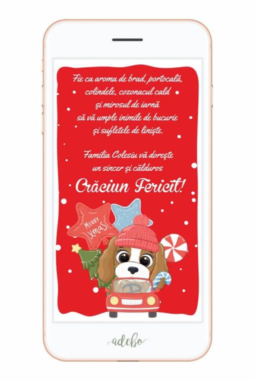 Felicitare digitala video - model 4 - 2