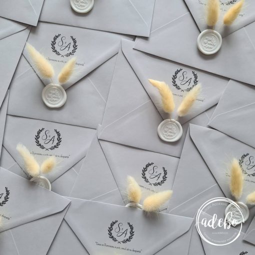 Invitatie de nunta Samy 1