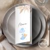 Meniu botez - ursulet si pampas