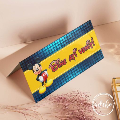 Plic bani botez - Mickey Mouse 1