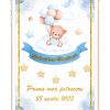 Invitatie digitala botez - Baby bear