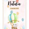 Invitatie digitala botez - Baloane
