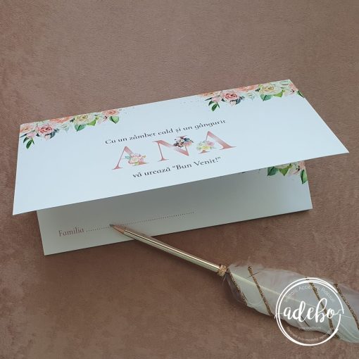 Plic bani botez - Ana 1