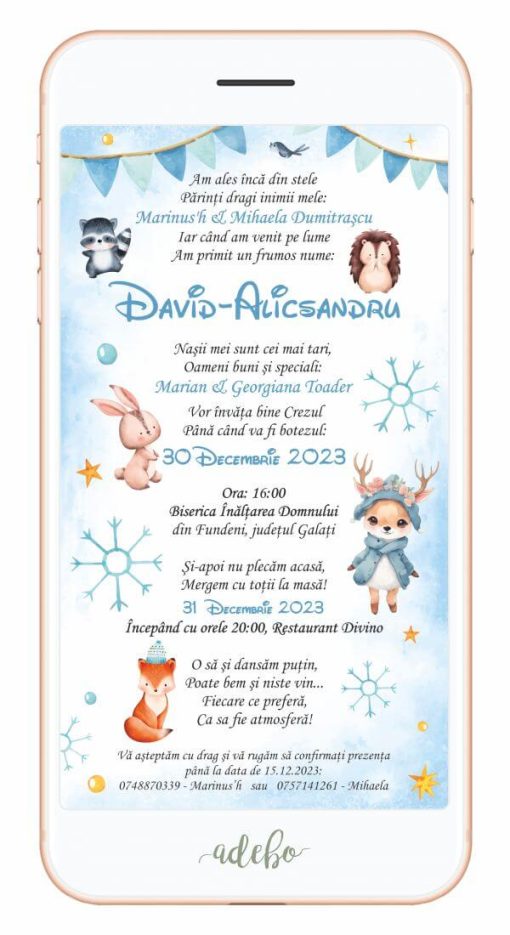 Invitatie digitala botez - Tematica Iarna