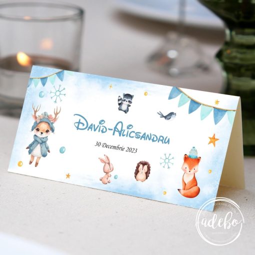 Plic bani botez tematica iarna 1