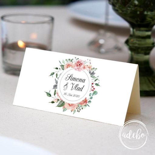 Plic bani bujori si trandafiri 1