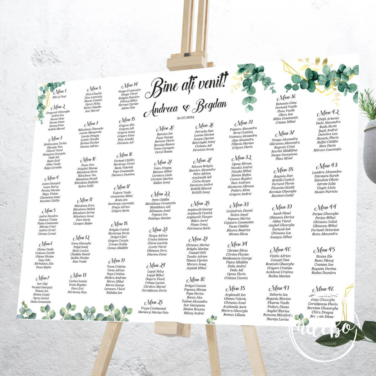 Lista invitati frunze Eucalipt