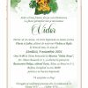 Invitatie digitala Simba regele leu