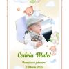 Invitatie digitala video - Ursulet si baloane verzi