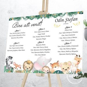 Lista invitati botez Safary