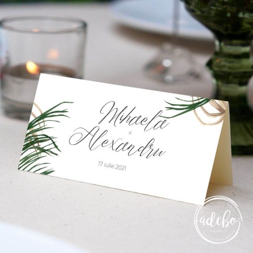 Plic dar cu pampas si verdeata