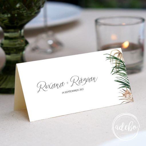 Plic bani - Areca Palm