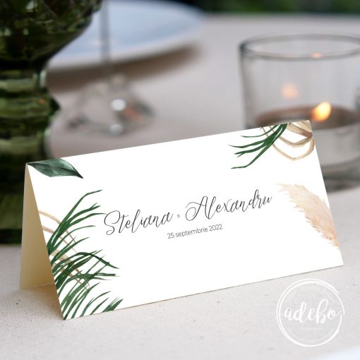 Plic bani Frunze palmier si pampas