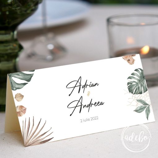 Plic bani Monstera & pampas