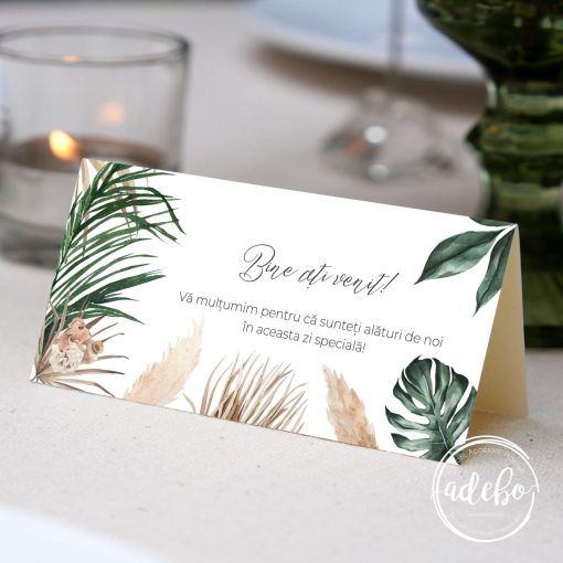 Plic bani – Frunze palmier si pampas